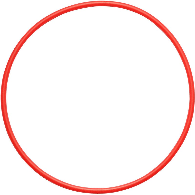 Olympus O-Ring for PT-058 Underwater Housing