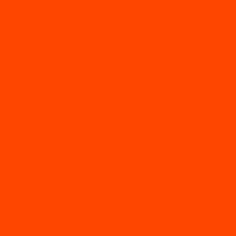 Lee 20x24" 019 Fire