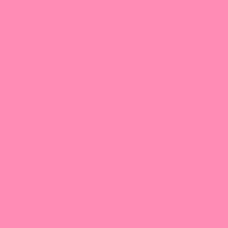 Lee 20x24" 192 Flesh Pink