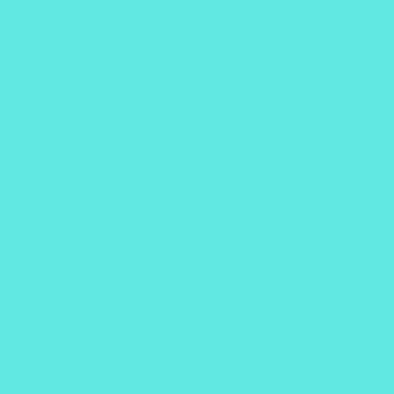 Lee 20x24" 353 Lighter Blue
