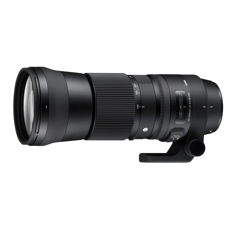 Sigma 150-600mm f5-6.3 DG OS HSM Contemporary - Nikon F-Mount