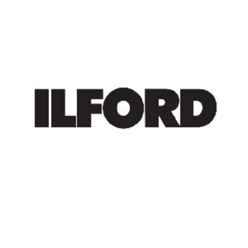 Ilford Delta 100 4x5 - 100 sheets.
