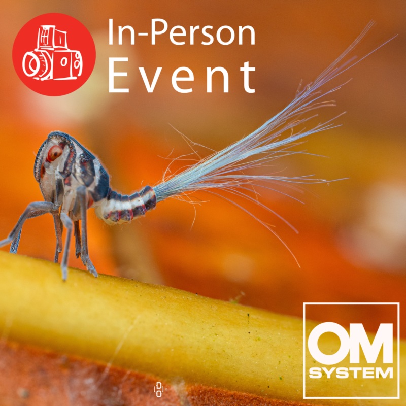 Beyond the Naked Eye: Mastering Macro Photography - Fri. Jun. 27 & Sat. Jun. 28