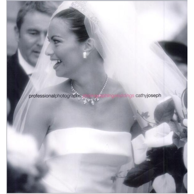 Professional Photography: Photographing Weddings