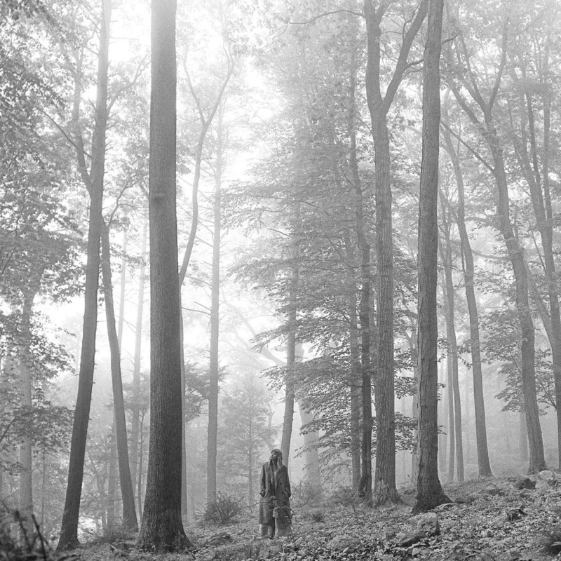 Taylor Swift - Folklore (In The Trees 2xLP Edition, Brown Colored Vinyl)