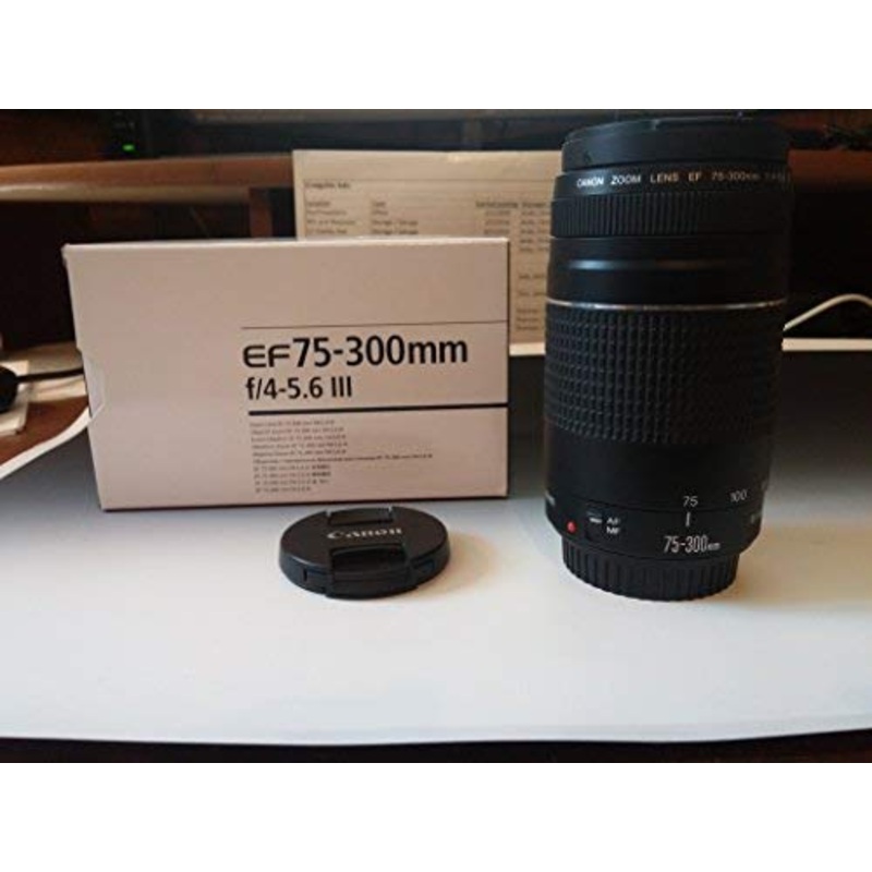 Canon EF 75-300 mm F/4.0-5.6 III Lens (6473A003) - Used